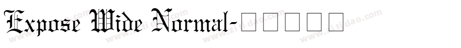 Expose Wide Normal字体转换